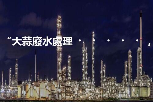 “大蒜廢水處理，綠色環(huán)保新篇章”